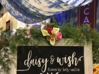 Daisy & Wish Flowers